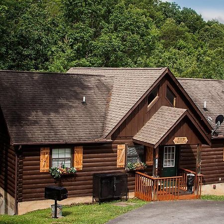 Idyllic Cabin With Hot Tub Less Than 2 Mi To Dollywood! سيفيرفيل المظهر الخارجي الصورة