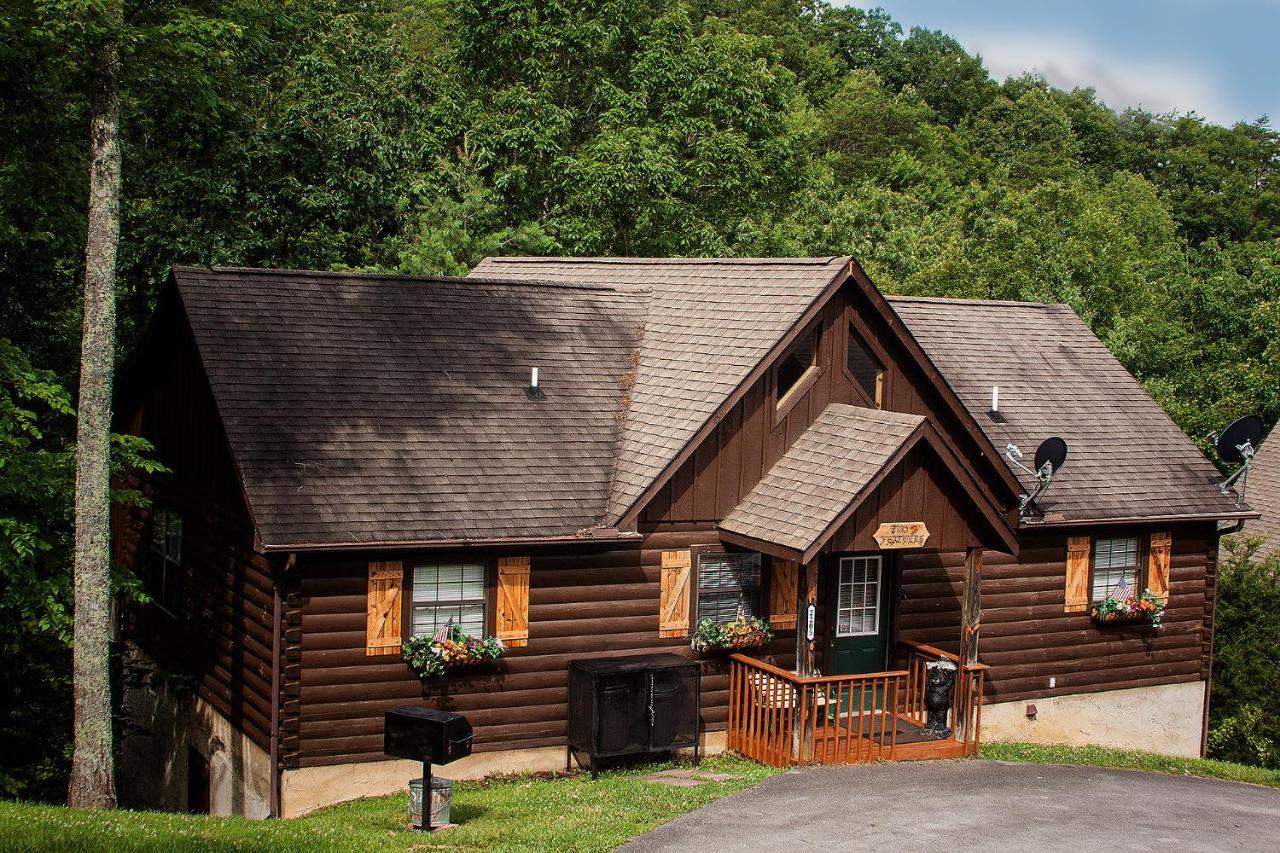 Idyllic Cabin With Hot Tub Less Than 2 Mi To Dollywood! سيفيرفيل المظهر الخارجي الصورة